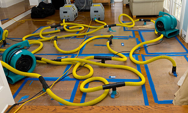 Professional Water Extraction technician working in Blakely Island, WA